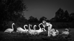 OHL1797-Edit-Wallpaper-Wallpaper-5