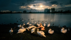 OHL1861-Edit-Wallpaper