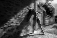 OHL1246-Edit-Blur-Wallpaper-2