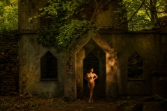 OHL4293-Edit-Wallpaper