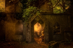 OHL4307-Edit-Wallpaper