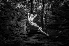 OHL5464-Edit-Wallpaper-2